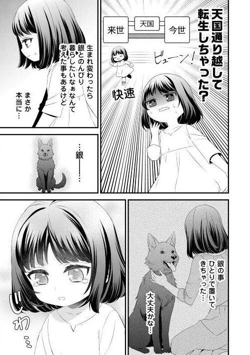 幼女和毛茸茸的双重治愈！