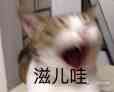 阔诺新连载哒！12月新连载漫画不完全指北第四期