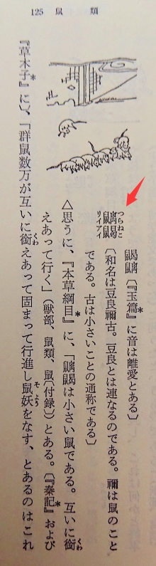 阔诺新连载哒！12月新连载漫画不完全指北第四期