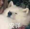 周五榕树下·吐槽书单第十八期