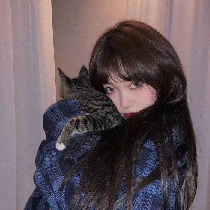 手机微信头像