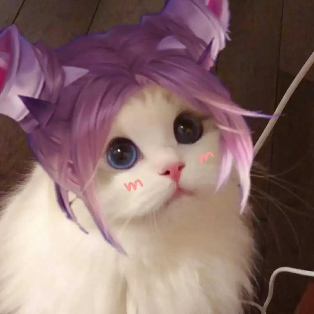 王者荣耀开黑猫猫头像