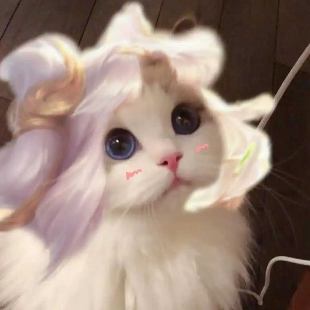 王者荣耀开黑猫猫头像