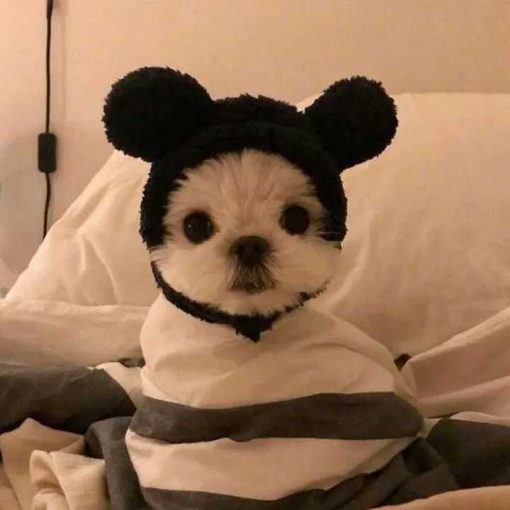 女生最适合的微信头像