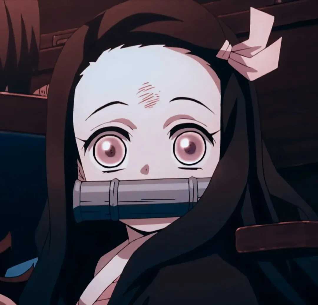 灶门祢豆子兔耳头像