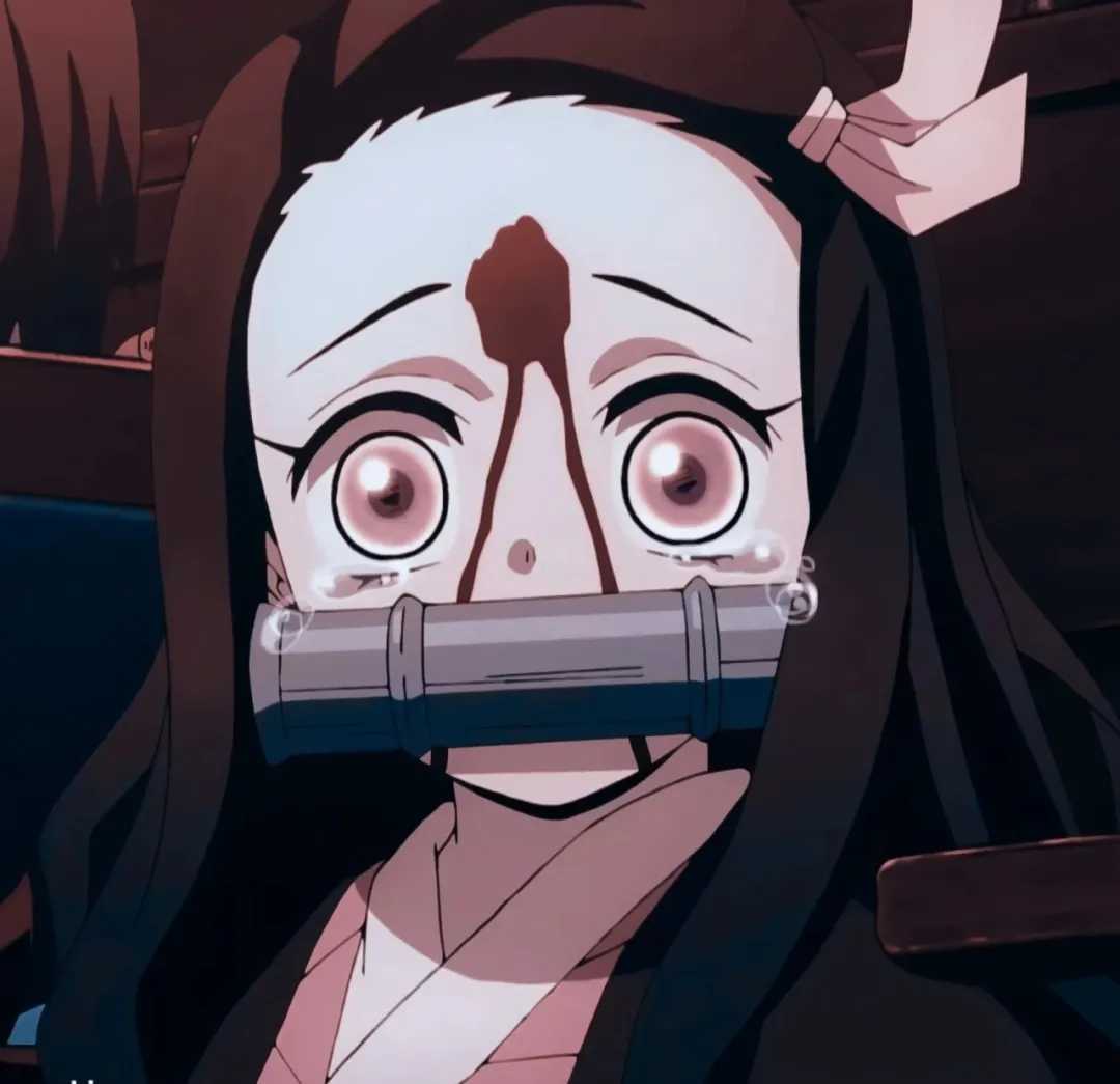 灶门祢豆子兔耳头像