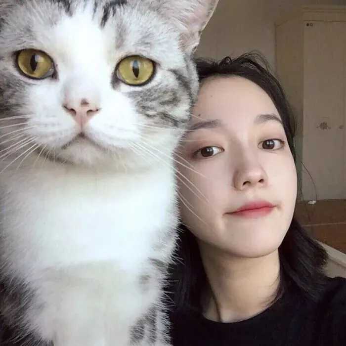 抱猫的少女头像