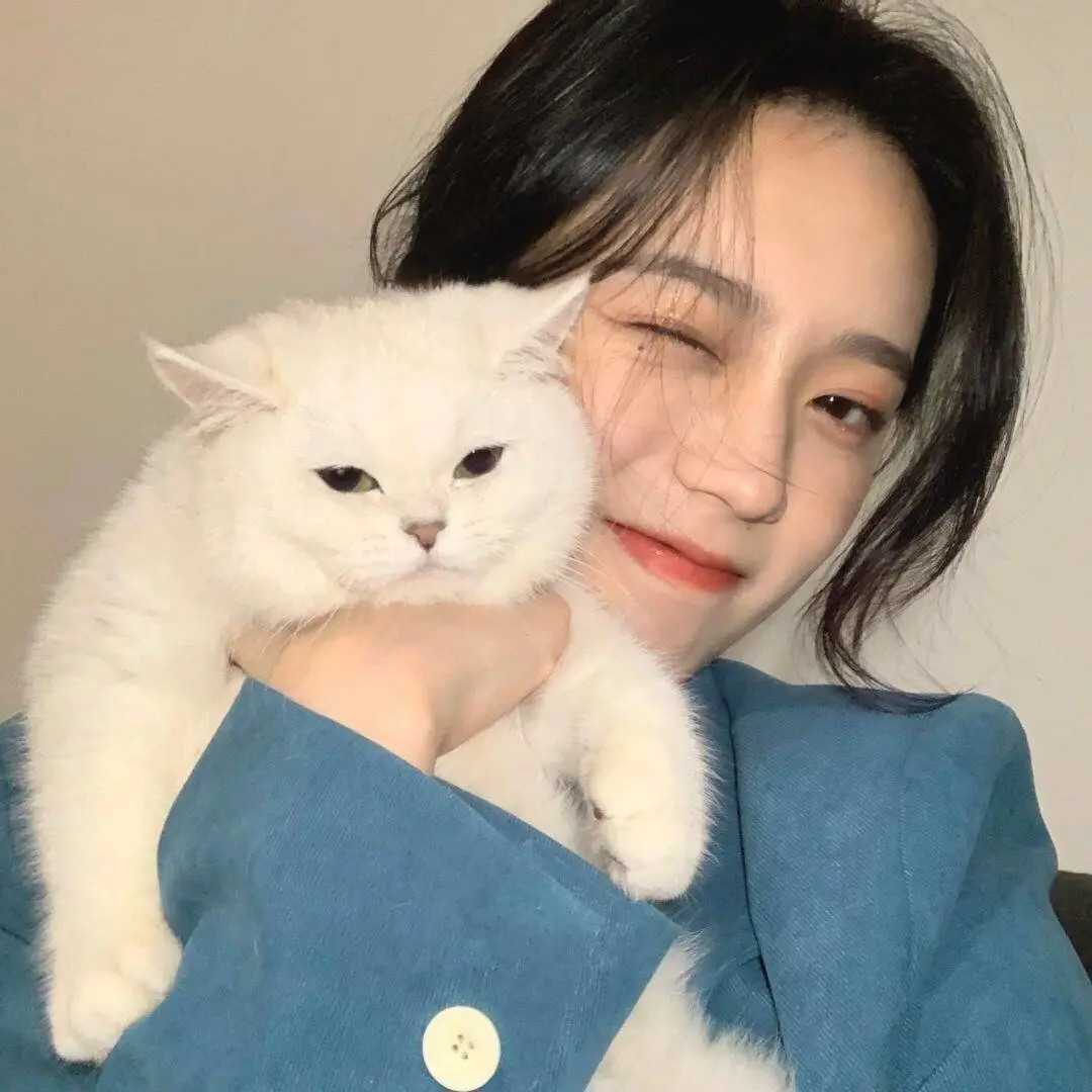 抱猫的少女头像