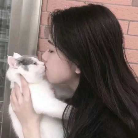 抱猫的少女头像