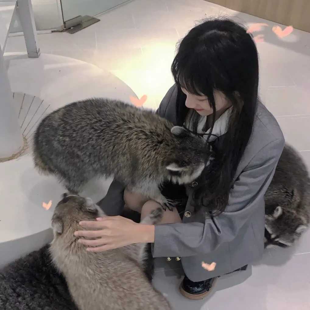 女生真人黄昏唯美头像