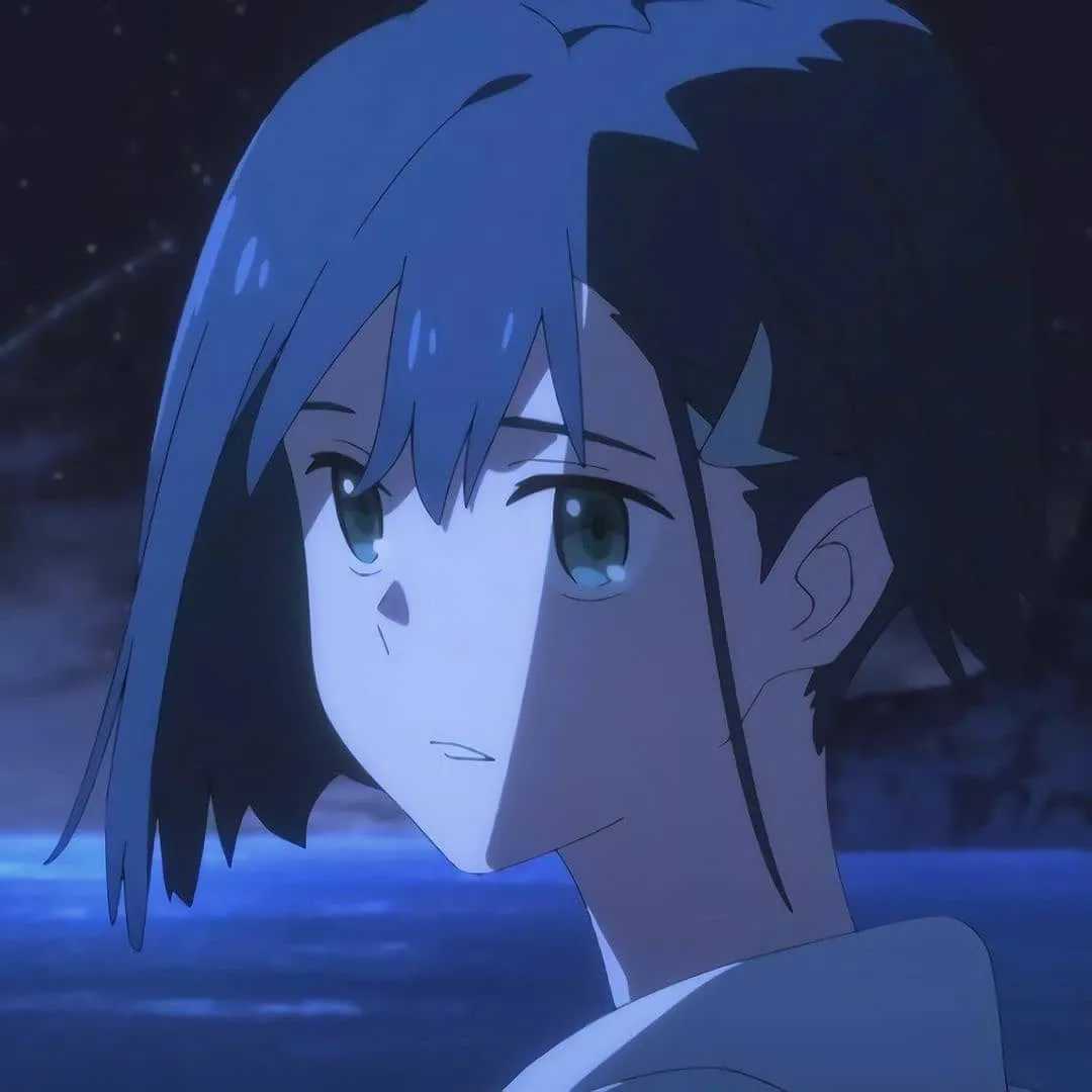 DARLING in the FRANXX：莓头像