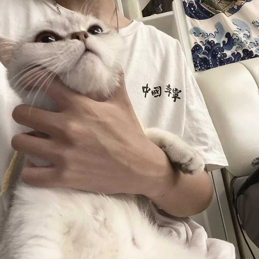 适合永久做头像的图片（真人男生篇）