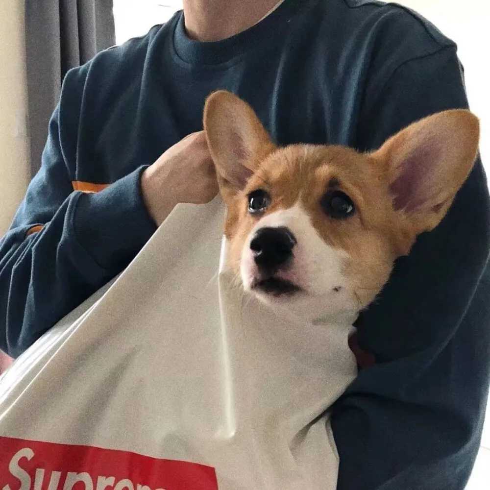 适合永久做头像的图片（真人男生篇）