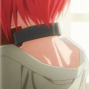 魔法使的新娘：羽鸟智世头像