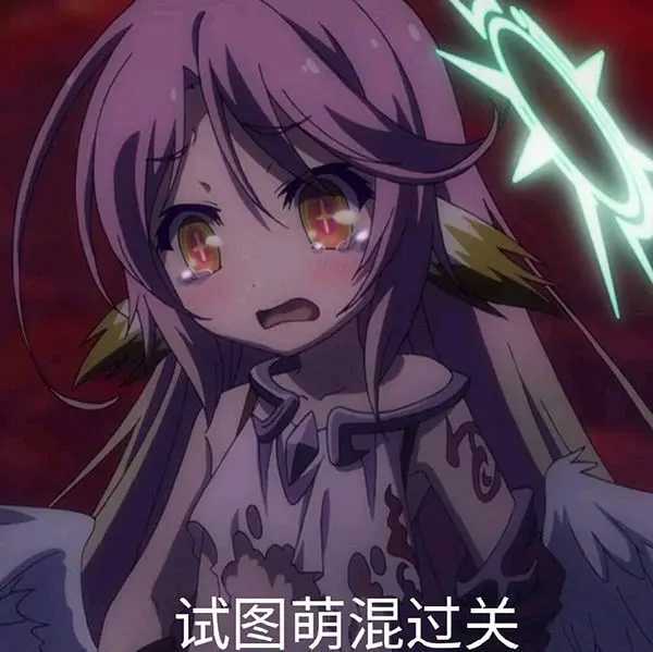 萌宠表情包|头像合集第二期 14张