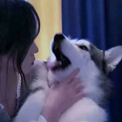 真人情侣头像一男一女
