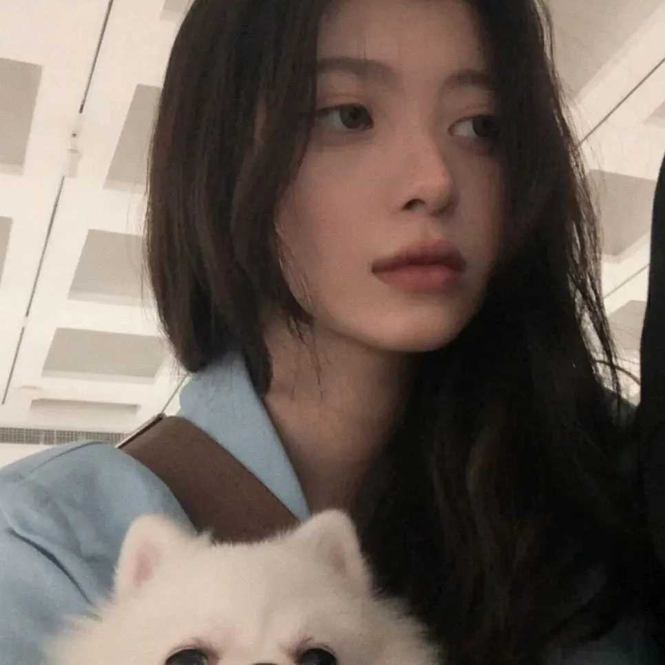 百看不厌的微信头像