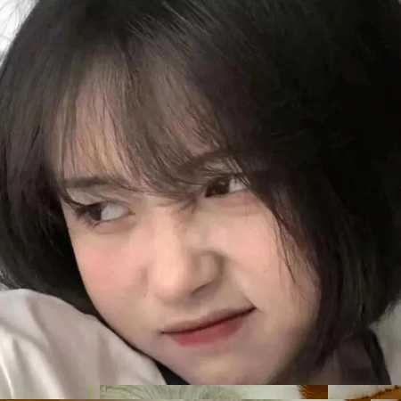 可爱猫咪头像 13张