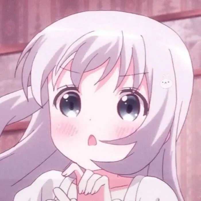 优质女头丧动漫