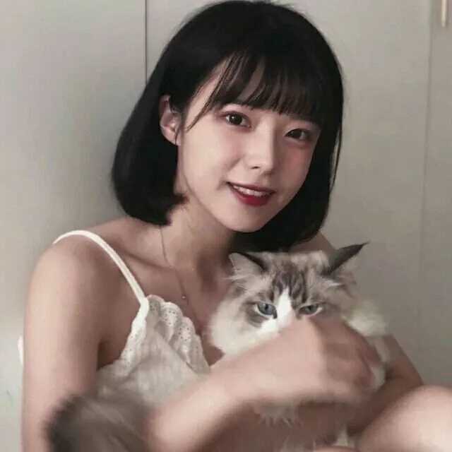 抱猫头像女