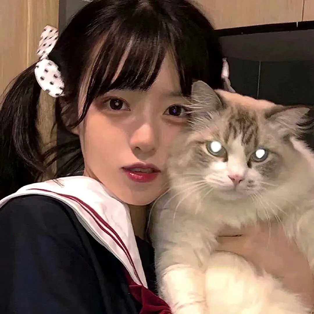 抱猫头像女