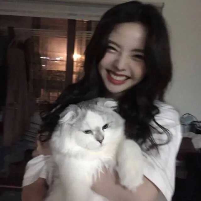 抱猫头像女