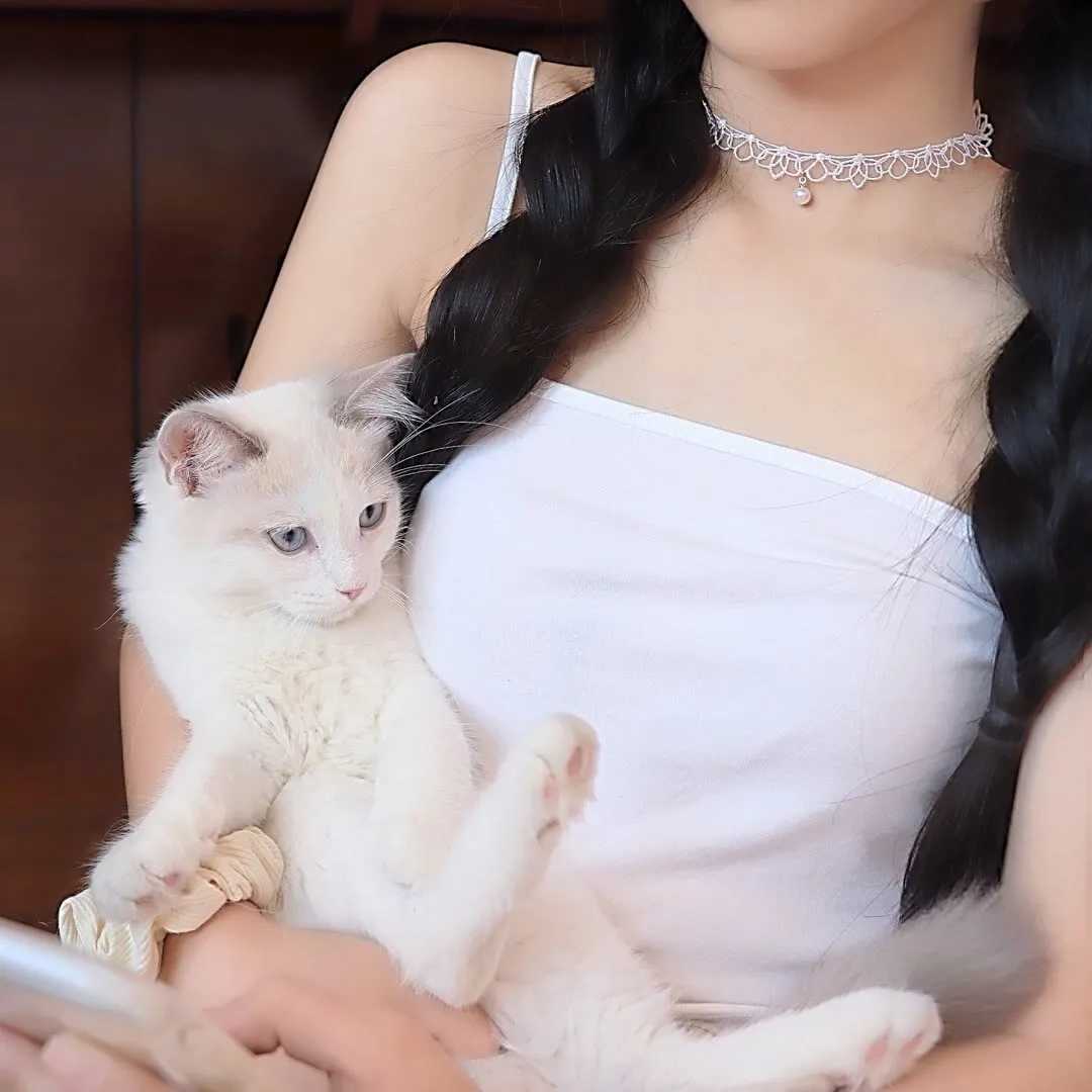 抱猫头像女