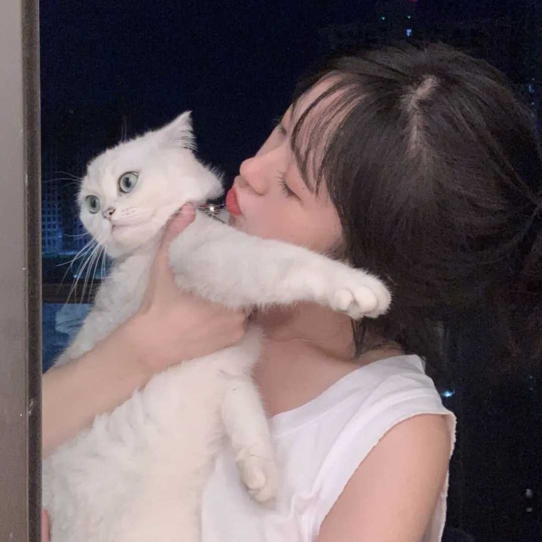 抱猫头像女