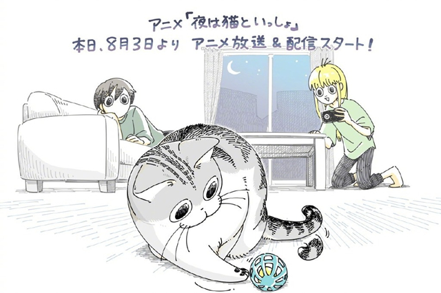 「关于养猫我一直是新手」原作发布开播贺图