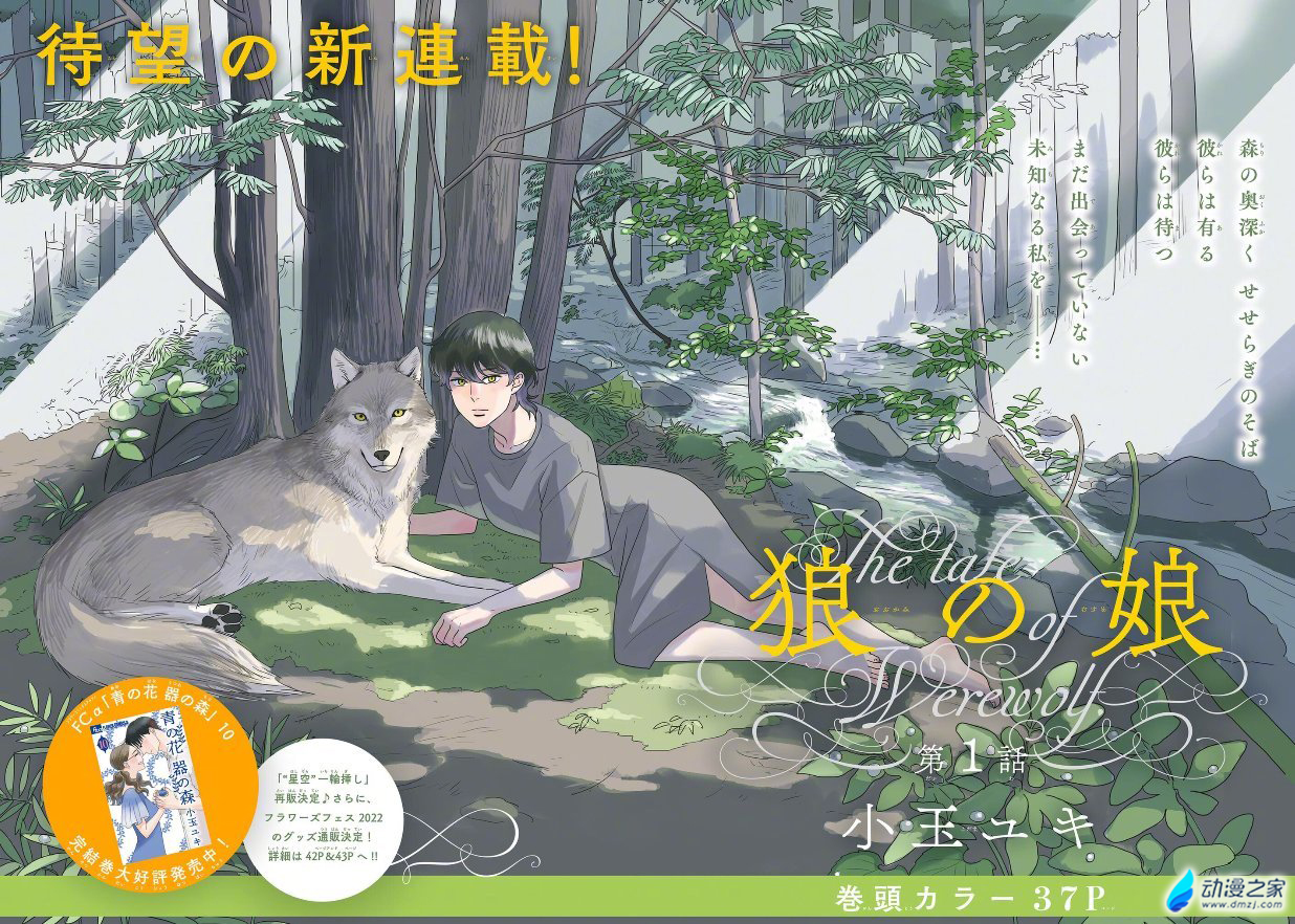 阔诺新连载哒！8月新连载漫画不完全指北第五期