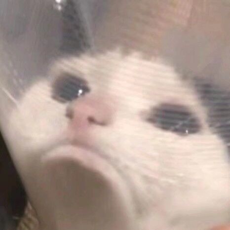 阔诺新连载哒！8月新连载漫画不完全指北第五期