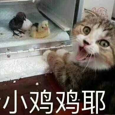 阔诺新连载哒！9月新连载漫画不完全指北第三期