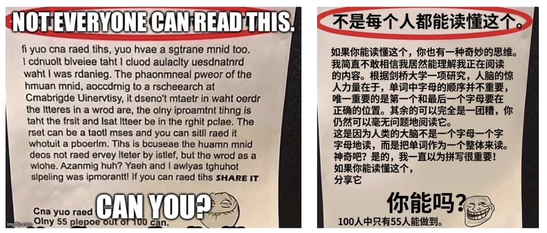 漫画/梗图汉化
