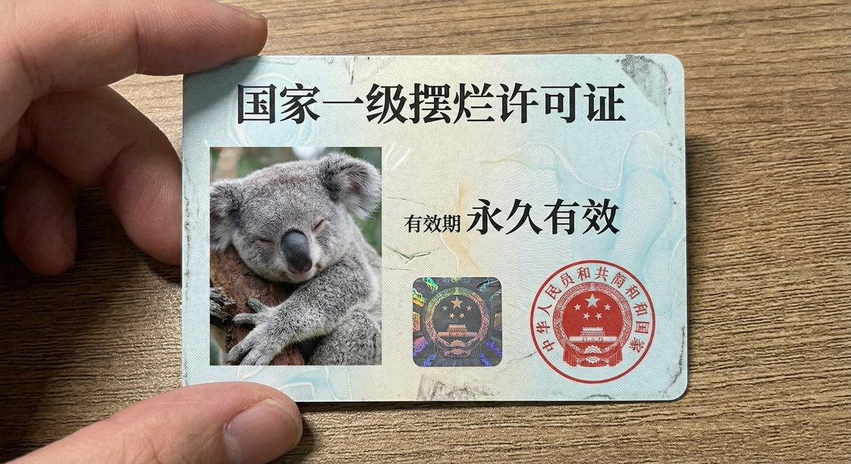 国家一级摆烂许可证
