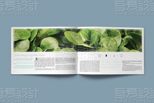 横板植物介绍画册模板