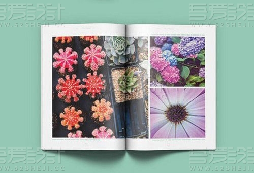 植物摄影画册模板