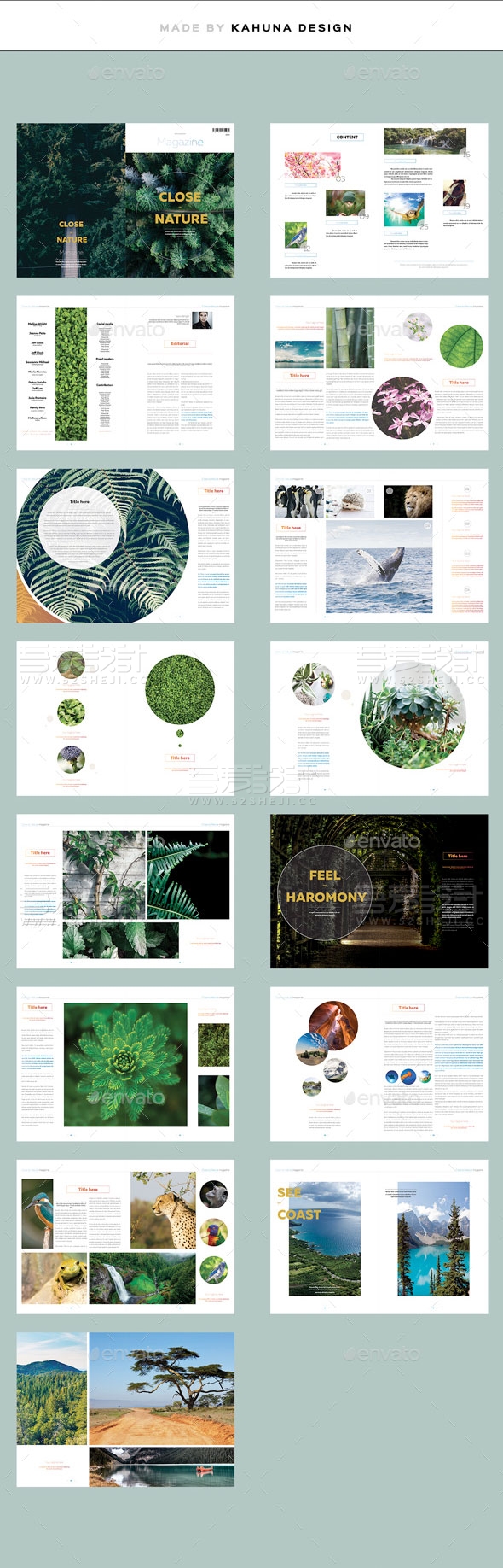 30页唯美植物风景摄影画册模板