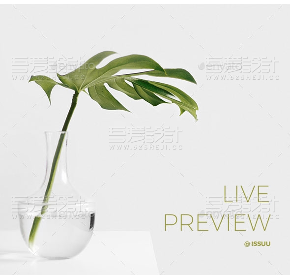 植物介绍画册模板