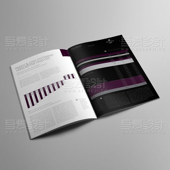 欧美风格企业数据统计画册模板