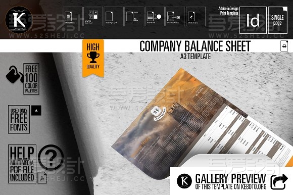 公司资产负债表 A3 模板
