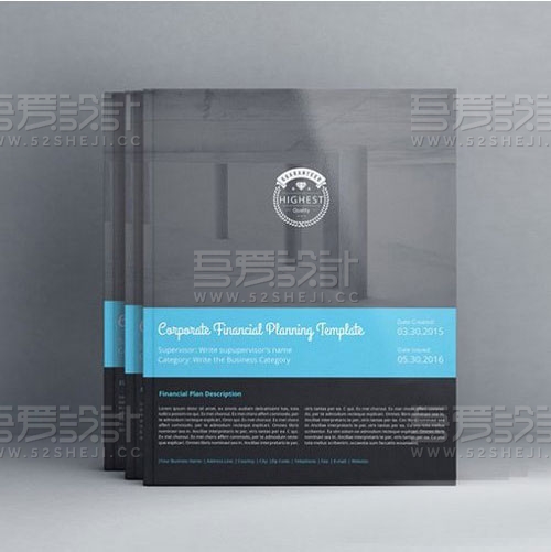 高端大气企业数据统计分析画册模板