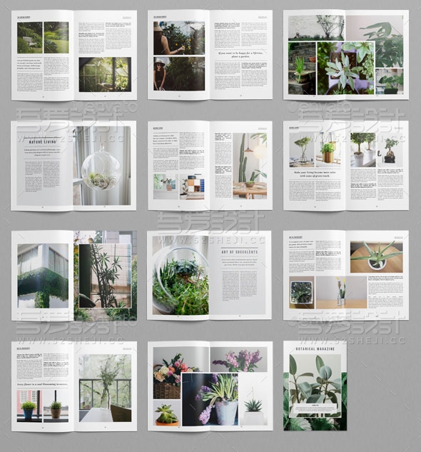 植物摄影展示宣传画册模板