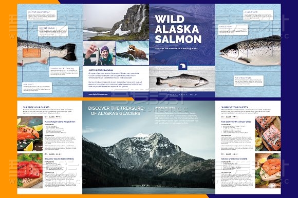 海产品展示三折页模板