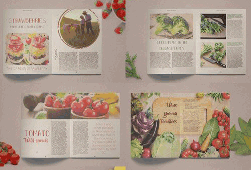 有机食品杂志画册模板