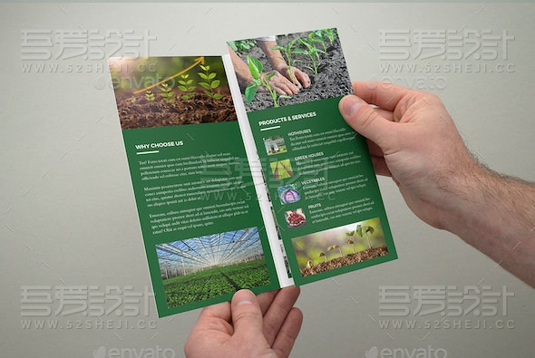 农作物种植培训介绍三折页模板