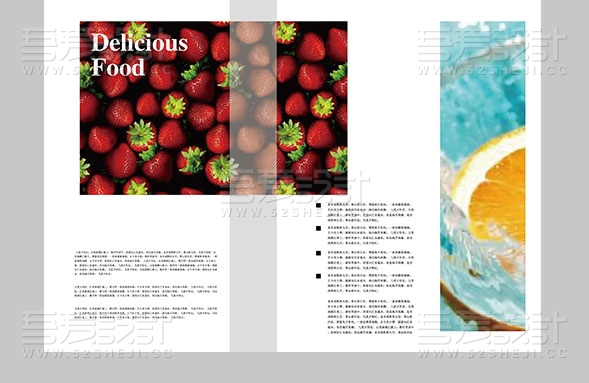 时尚大气清新风格的食品画册设计模板