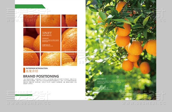 绿色健康营养水果创意画册设计模板