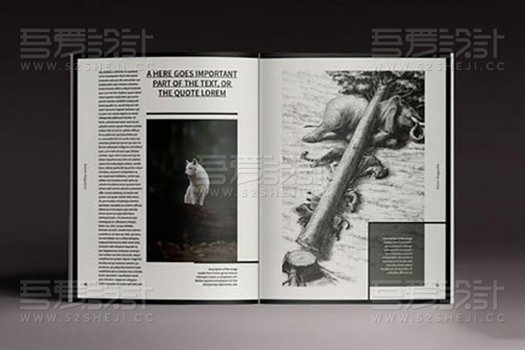 高端大气欧美风格杂志画册模板