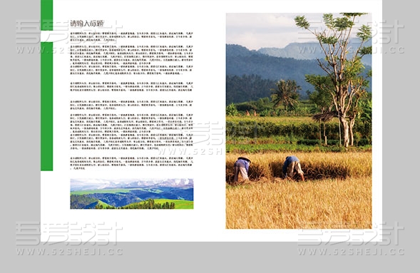 绿色简约风格畜牧业画册设计模板