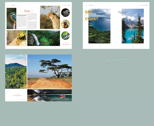 植物摄影写真展示ID画册模板